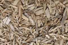 biomass boilers Higham Wood